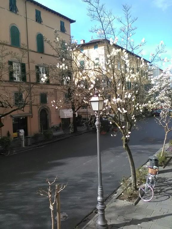 Suite Sofia Lucca Exterior foto